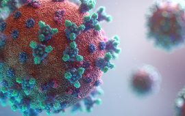 パンデミックは景気サイクルの一部なのか？