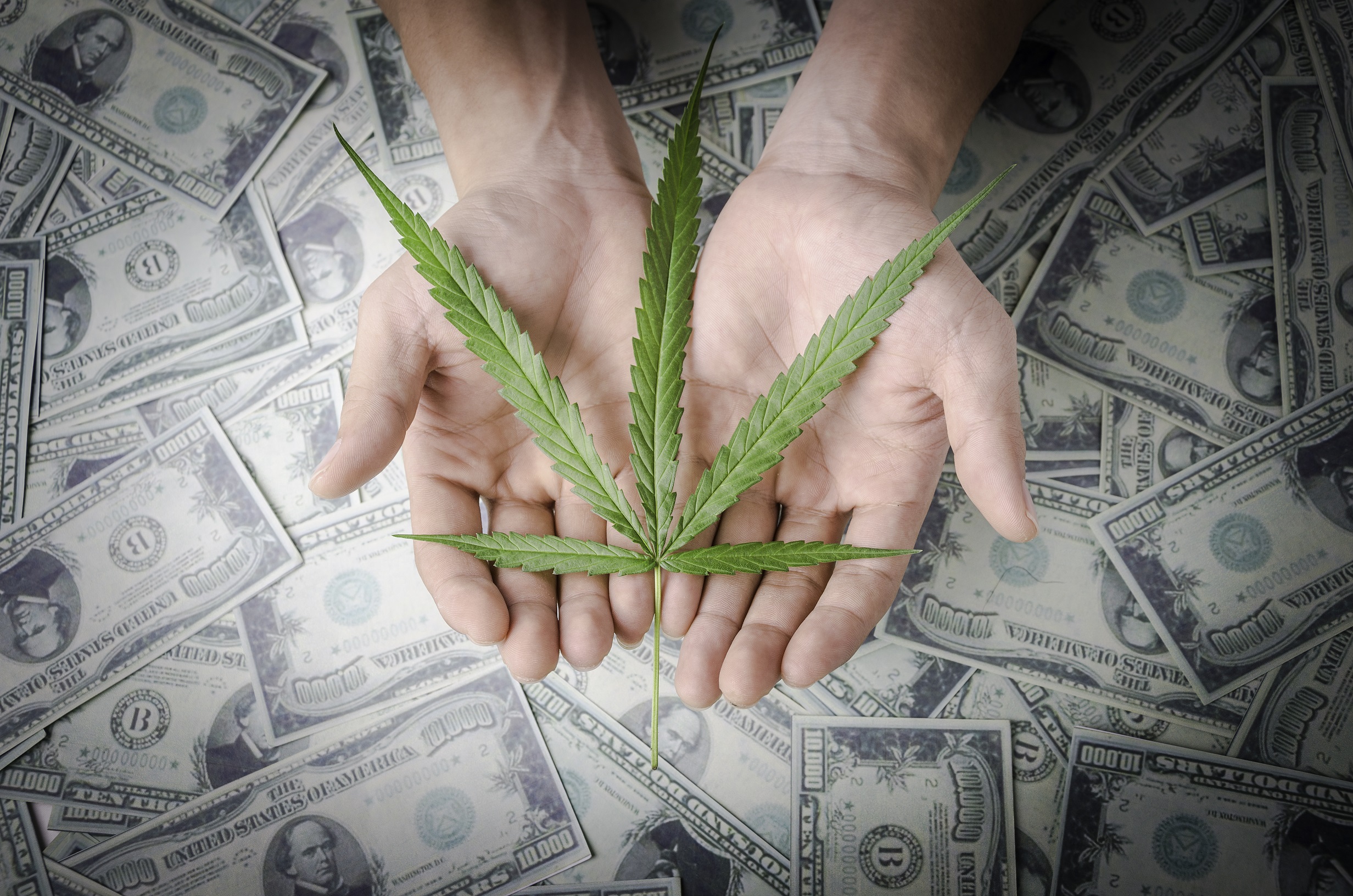 アメリカの大麻株が承認される3つの理由