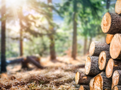 公的資金の氾濫でコモディティと資産のインフレが上昇中！この状況が続く間に利益を得よう