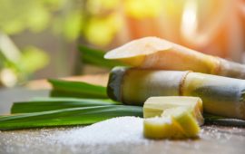 ポートフォリオの「甘い」充実を図ろう