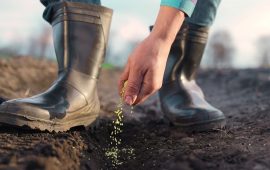 この大型小売店は「買い」