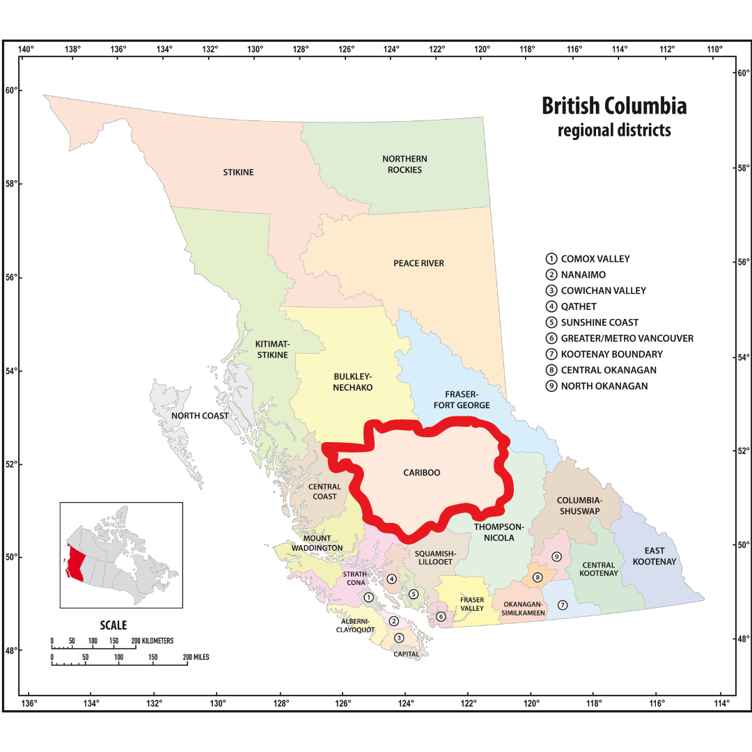 ゴールドラッシュから学ぶ4つの投資の教訓|WeissRatings―米国株投資情報メディア(株式会社Wealth On運営)